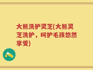大熊洗护灵芝(大熊灵芝洗护，呵护毛孩悠然享受)