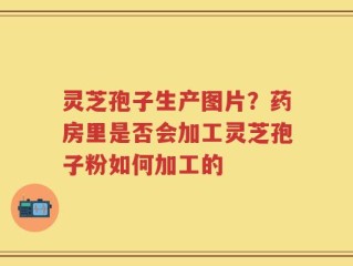 灵芝孢子生产图片？药房里是否会加工灵芝孢子粉如何加工的