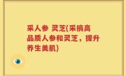 采人参 灵芝(采摘高品质人参和灵芝，提升养生美肌)