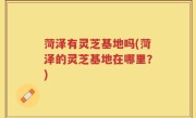 菏泽有灵芝基地吗(菏泽的灵芝基地在哪里？)