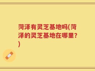 菏泽有灵芝基地吗(菏泽的灵芝基地在哪里？)
