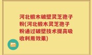 河北椴木破壁灵芝孢子粉(河北椴木灵芝孢子粉通过破壁技术提高吸收利用效果)