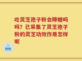 吃灵芝孢子粉会降糖吗吗？已采集了灵芝孢子粉的灵芝功效作用怎样呢