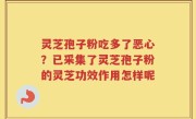 灵芝孢子粉吃多了恶心？已采集了灵芝孢子粉的灵芝功效作用怎样呢