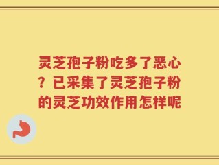 灵芝孢子粉吃多了恶心？已采集了灵芝孢子粉的灵芝功效作用怎样呢