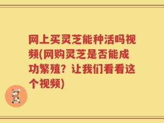 网上买灵芝能种活吗视频(网购灵芝是否能成功繁殖？让我们看看这个视频)
