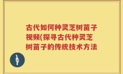 古代如何种灵芝树苗子视频(探寻古代种灵芝树苗子的传统技术方法