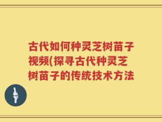 古代如何种灵芝树苗子视频(探寻古代种灵芝树苗子的传统技术方法