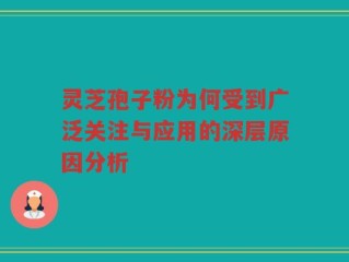 灵芝孢子粉为何受到广泛关注与应用的深层原因分析
