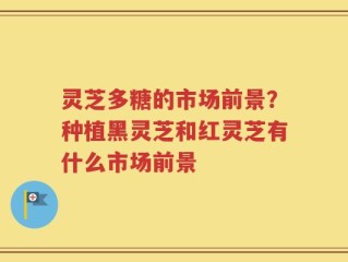 灵芝多糖的市场前景？种植黑灵芝和红灵芝有什么市场前景