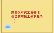 野生枫木灵芝价格(野生灵芝与枫木创下天价！)