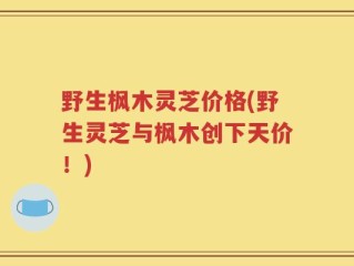 野生枫木灵芝价格(野生灵芝与枫木创下天价！)