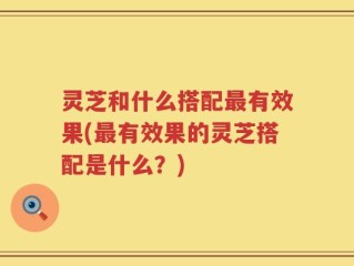 灵芝和什么搭配最有效果(最有效果的灵芝搭配是什么？)
