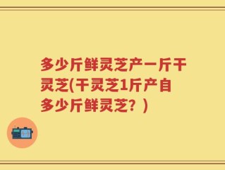 多少斤鲜灵芝产一斤干灵芝(干灵芝1斤产自多少斤鲜灵芝？)