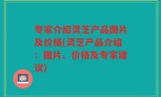 专家介绍灵芝产品图片及价格(灵芝产品介绍：图片、价格及专家建议)