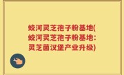 蛟河灵芝孢子粉基地(蛟河灵芝孢子粉基地:灵芝菌汉堡产业升级)