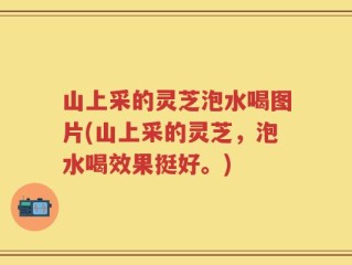 山上采的灵芝泡水喝图片(山上采的灵芝，泡水喝效果挺好。)