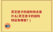 灵芝孢子的结构特点是什么(灵芝孢子的结构特征有哪些？)