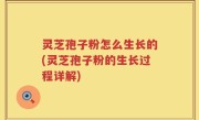 灵芝孢子粉怎么生长的(灵芝孢子粉的生长过程详解)