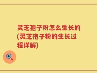 灵芝孢子粉怎么生长的(灵芝孢子粉的生长过程详解)