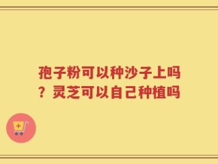 孢子粉可以种沙子上吗？灵芝可以自己种植吗