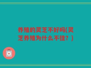 养殖的灵芝不好吗(灵芝养殖为什么不佳？)