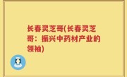 长春灵芝哥(长春灵芝哥：振兴中药材产业的领袖)