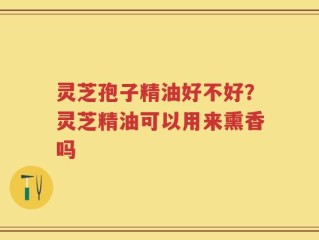 灵芝孢子精油好不好？灵芝精油可以用来熏香吗