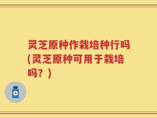 灵芝原种作栽培种行吗(灵芝原种可用于栽培吗？)