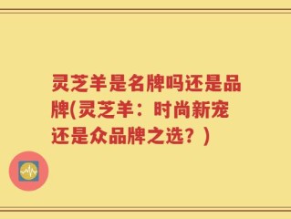 灵芝羊是名牌吗还是品牌(灵芝羊：时尚新宠还是众品牌之选？)