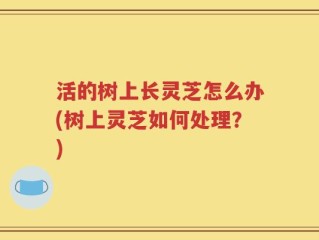 活的树上长灵芝怎么办(树上灵芝如何处理？)