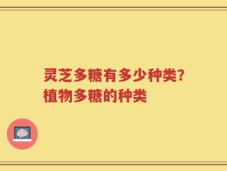 灵芝多糖有多少种类？植物多糖的种类