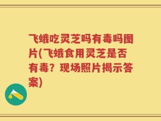 飞蛾吃灵芝吗有毒吗图片(飞蛾食用灵芝是否有毒？现场照片揭示答案)