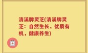 清溪牌灵芝(清溪牌灵芝：自然生长，优质有机，健康养生)