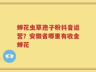 蝉花虫草孢子粉抖音运营？安徽省哪里有收金蝉花