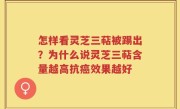 怎样看灵芝三萜被踢出？为什么说灵芝三萜含量越高抗癌效果越好