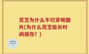 灵芝为什么不烂芽呢图片(为什么灵芝能长时间保存？)