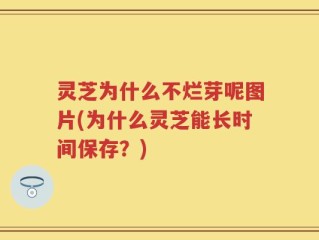 灵芝为什么不烂芽呢图片(为什么灵芝能长时间保存？)