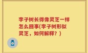 李子树长得像灵芝一样怎么回事(李子树形似灵芝，如何解释？)