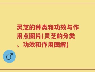 灵芝的种类和功效与作用点图片(灵芝的分类、功效和作用图解)