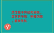 灵芝孢子粉起死回生_灵芝孢子粉：神奇功效，重焕生机