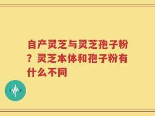 自产灵芝与灵芝孢子粉？灵芝本体和孢子粉有什么不同