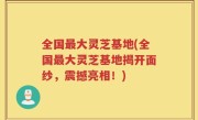 全国最大灵芝基地(全国最大灵芝基地揭开面纱，震撼亮相！)