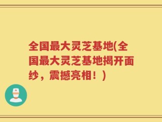 全国最大灵芝基地(全国最大灵芝基地揭开面纱，震撼亮相！)