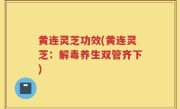 黄连灵芝功效(黄连灵芝：解毒养生双管齐下)