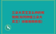 三朵大灵芝怎么种的呢视频(如何种植三朵大灵芝？详细视频教程)