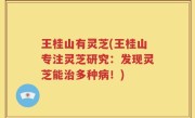 王桂山有灵芝(王桂山专注灵芝研究：发现灵芝能治多种病！)
