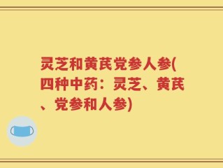 灵芝和黄芪党参人参(四种中药：灵芝、黄芪、党参和人参)