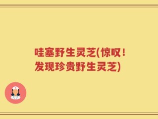 哇塞野生灵芝(惊叹！发现珍贵野生灵芝)