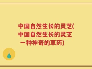 中国自然生长的灵芝(中国自然生长的灵芝  一种神奇的草药)